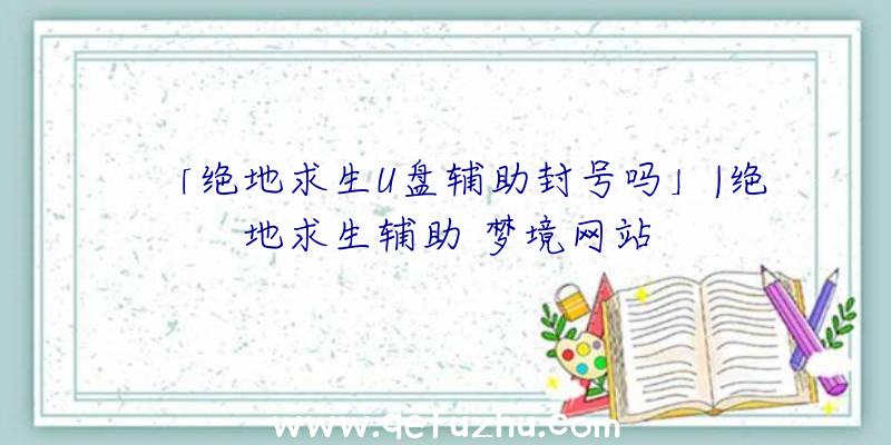 「绝地求生U盘辅助封号吗」|绝地求生辅助